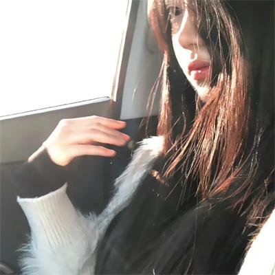 茶乡花正开
